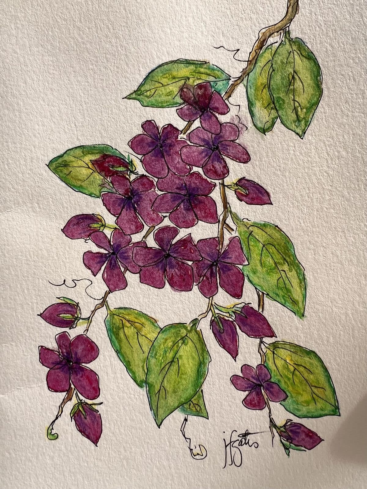 Palacio de Viana — Patios